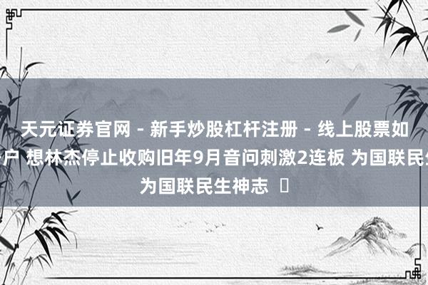 天元证券官网 - 新手炒股杠杆注册 - 线上股票如何配资开户 想林杰停止收购旧年9月音问刺激2连板 为国联民生神志  ​